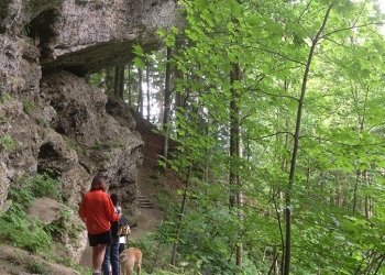 fasten-in-der-gruppe-buchinger-fasten