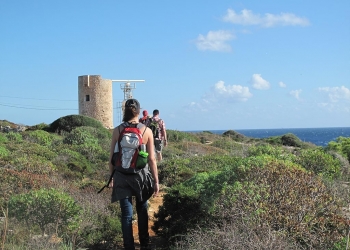 fastenwandern-mallorca-früchtefasten-santanyi