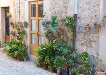 Indigourlaub_Son-Manera-Retreat-Finca-Image-7