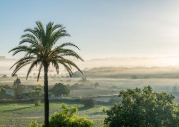 Son-Manera-Retreat-Finca-24-Copyright-Daniel-Maier